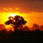 kenia2