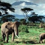 tanzania