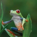 costarica