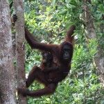 viaje-a-indonesia-33