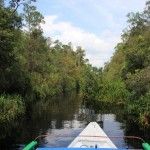 viaje-a-indonesia-37