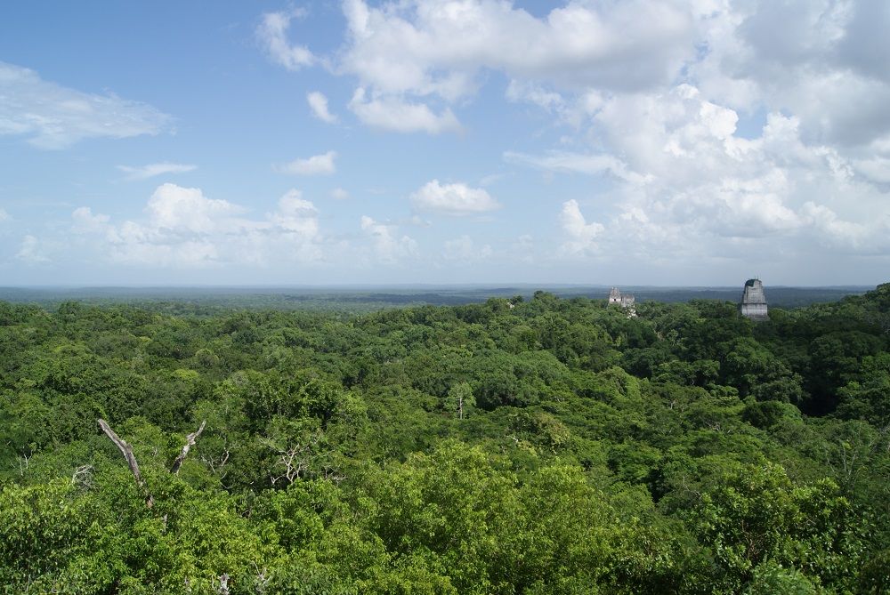 Templo IV Tikal Templo IV Tikal