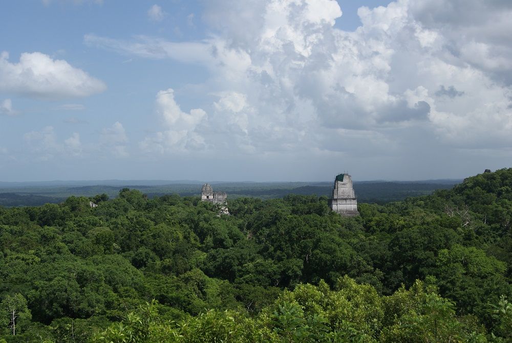 Templo IV Tikal Templo IV Tikal