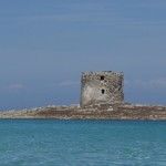 cerdeñapelosa