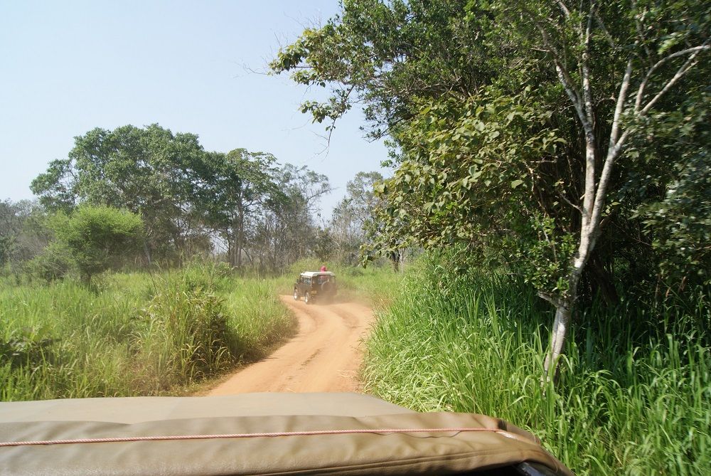 Hurulu Eco Park Hurulu Eco Park