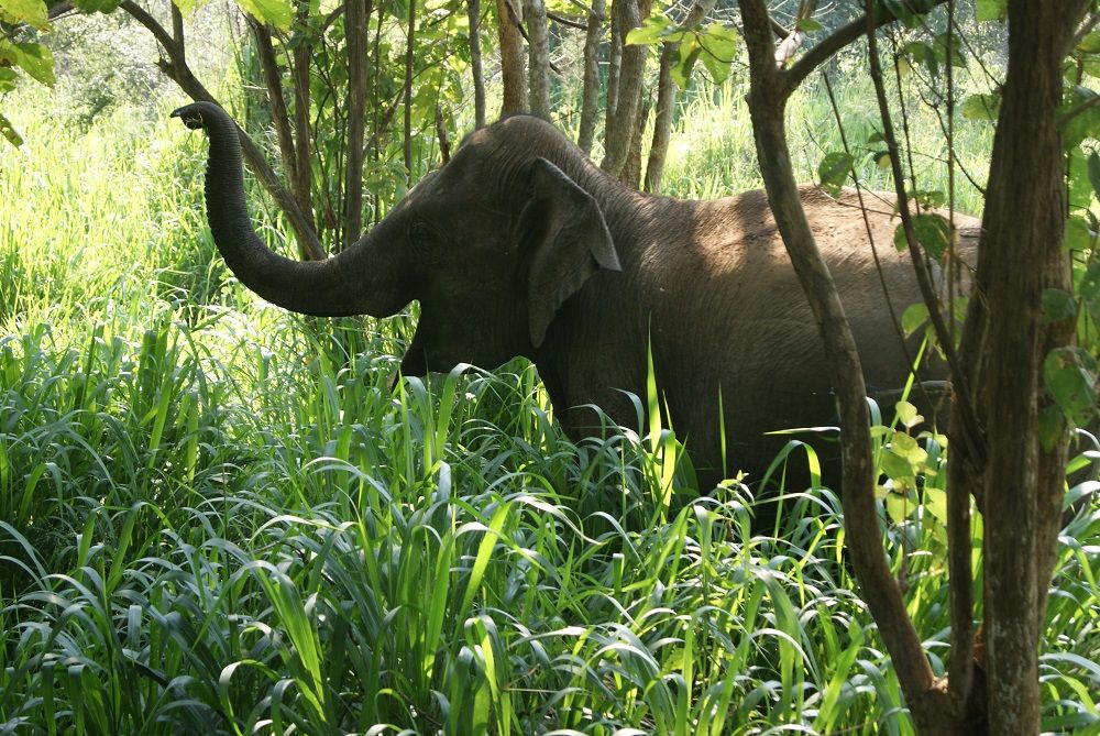Hurulu Eco Park Hurulu Eco Park
