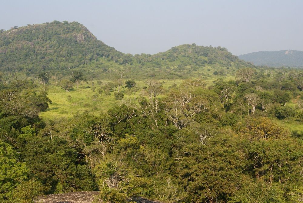 Hurulu Eco Park Hurulu Eco Park