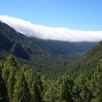 lapalma